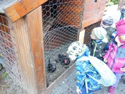 Výlet do svíčkárny Šestajovice